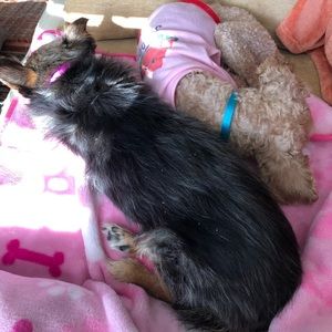 Meet your Posher, Kelly